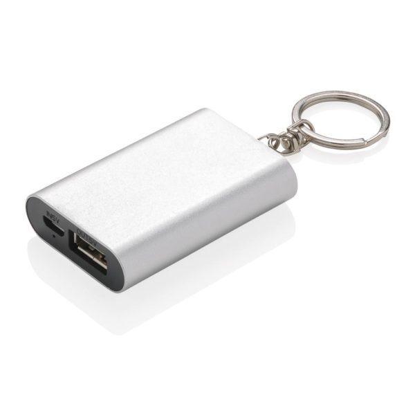 Akupank 1.000 mAh