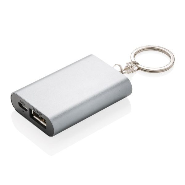 Akupank 1.000 mAh