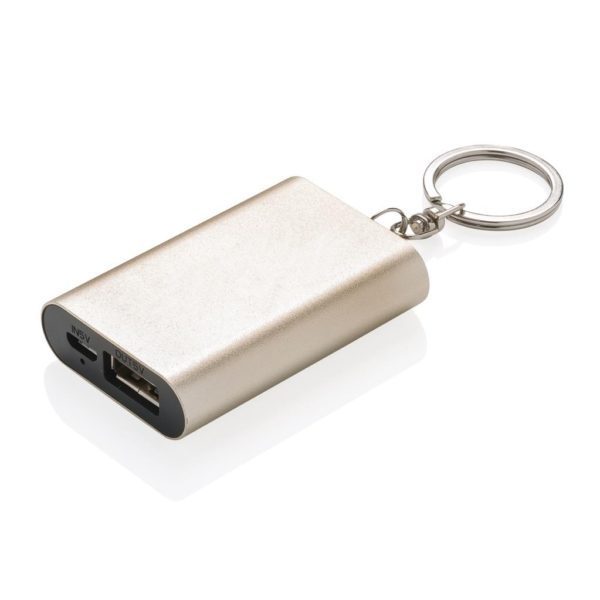 Akupank 1.000 mAh
