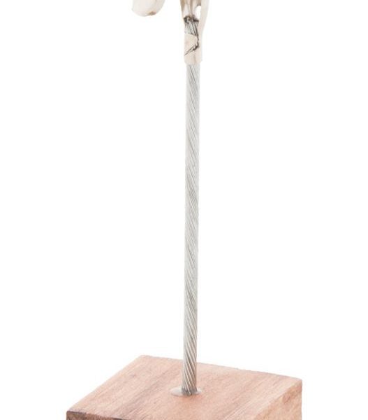 Cembra paberiklamber