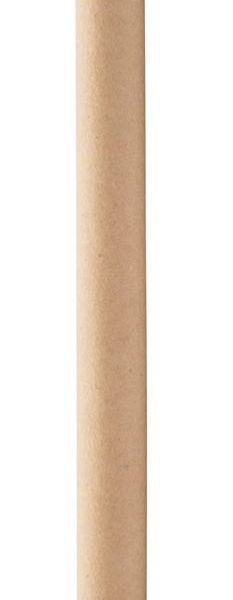 Clericus pastakas