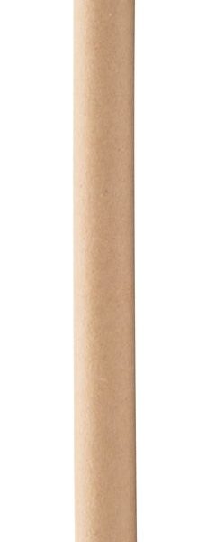 Clericus pastakas