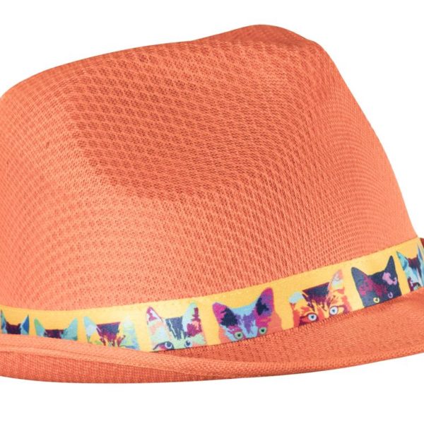 Subrero õlgkübara pael